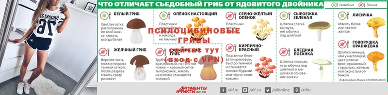 Галлюциногенные грибы прущие грибы  как найти закладки  Верещагино 